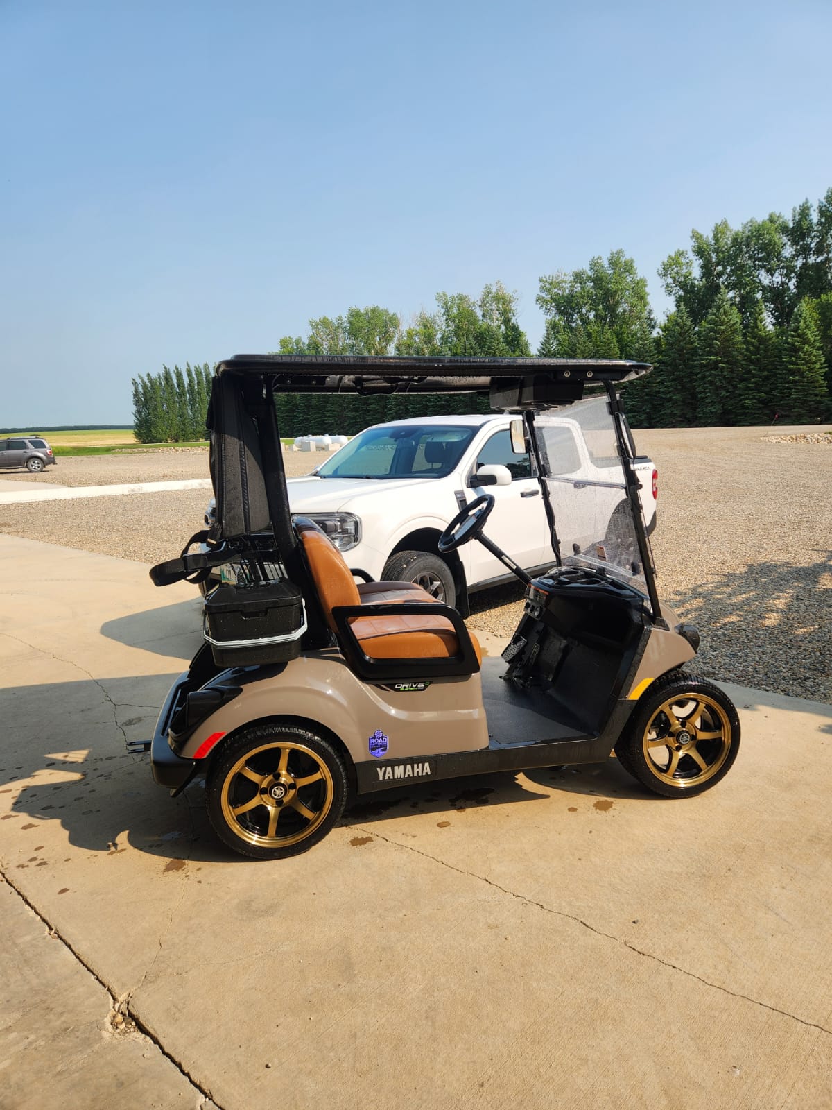 Tan Yamaha Drive2 with bronze wheels and brown seats on a concrete pad